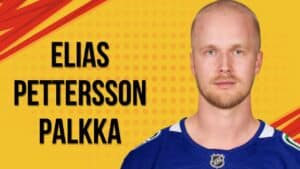 Elias Pettersson palkka